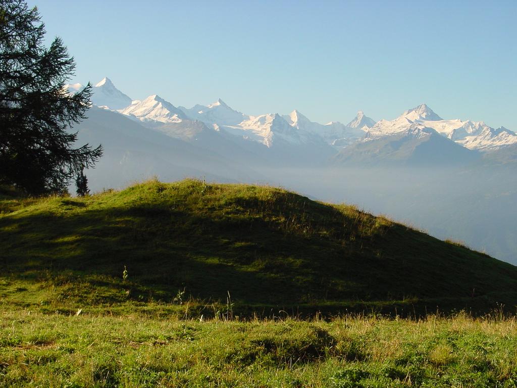 clic ici pour suivante