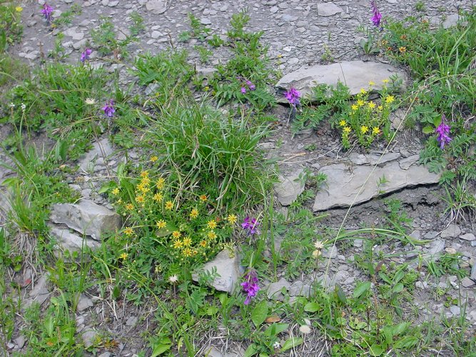 Click to see next picture