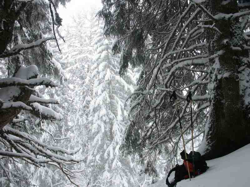 Clic ici pour voir l'image suivante