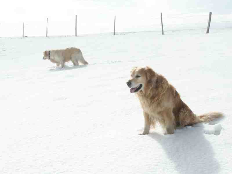 Clic ici pour voir l'image suivante