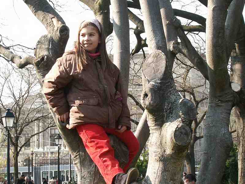 Clic ici pour voir l'image suivante