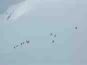 Cliquer pour agrandir l'image (800x600 :  10 KB pixels); 18.04.2004 08:51