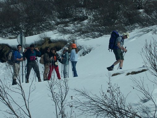 Clic ici pour voir l'image suivante