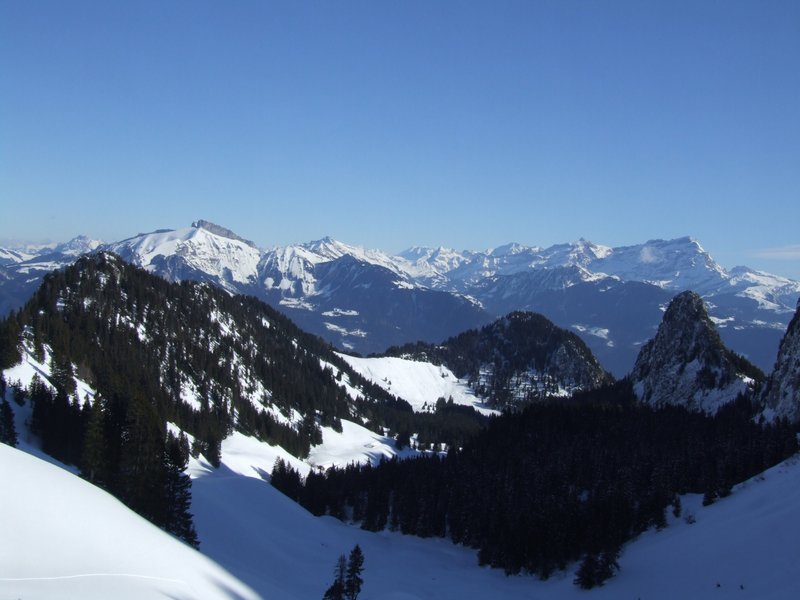 Clic ici pour voir l'image suivante