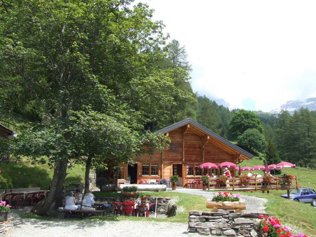 Cliquer pour voir l'image suivante