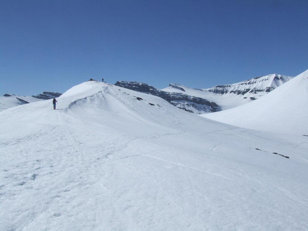 Cliquer pour voir l'image suivante