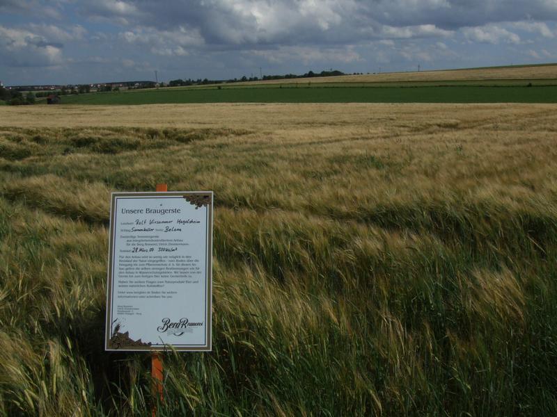 Cliquer pour voir l'image suivante