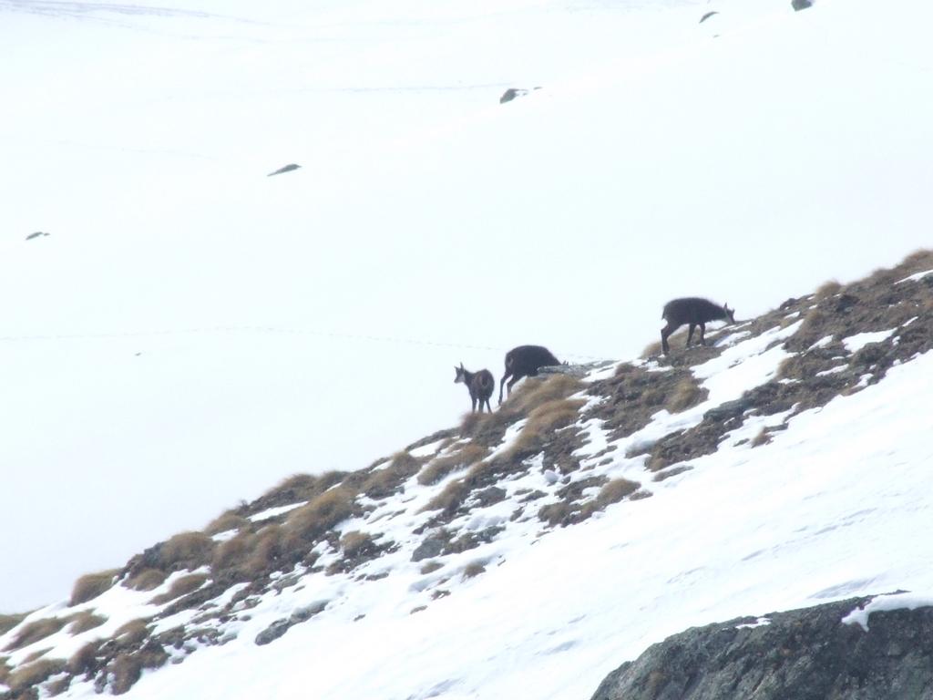 Clic pour voir l'image suivante