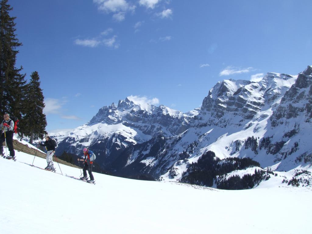 Clic pour voir l'image suivante