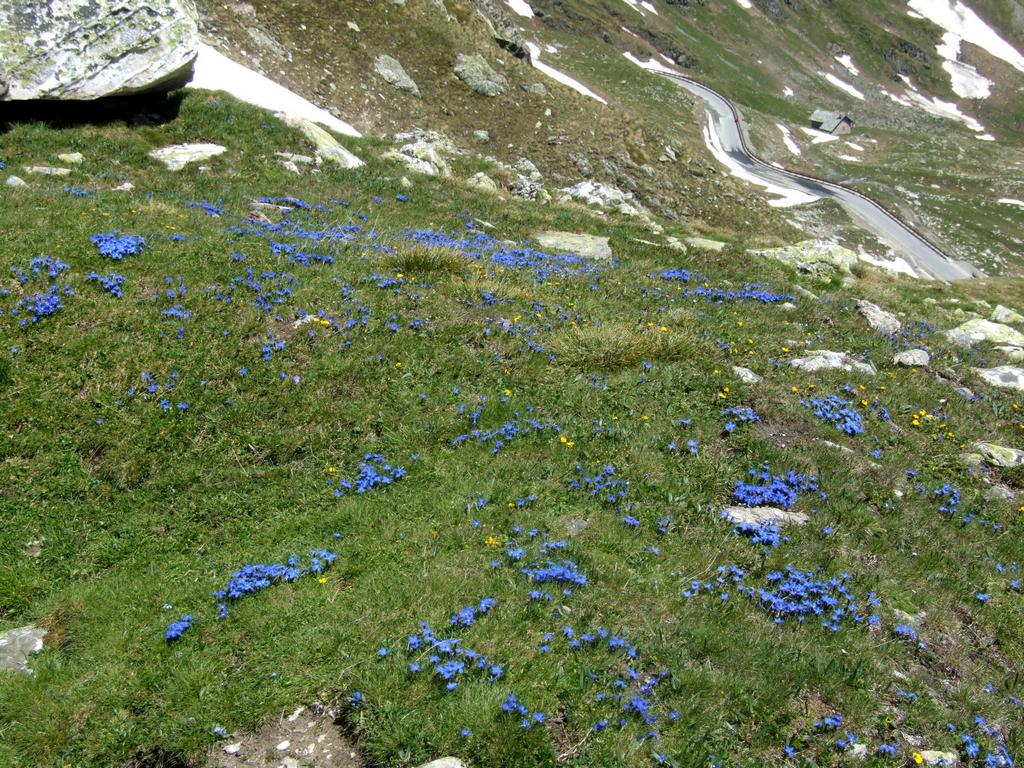 Clic pour voir l'image suivante