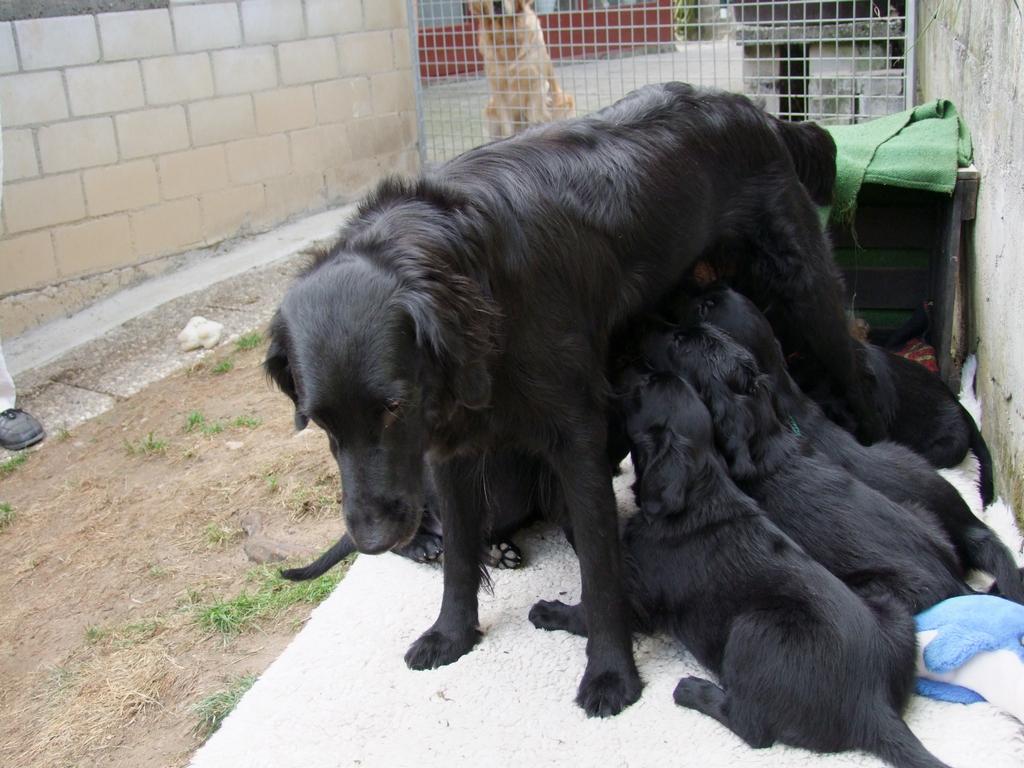 Pour l'image suivante