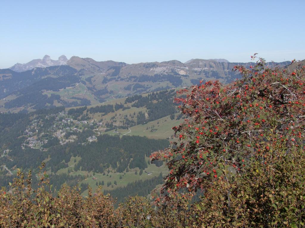 Pour l'image suivante