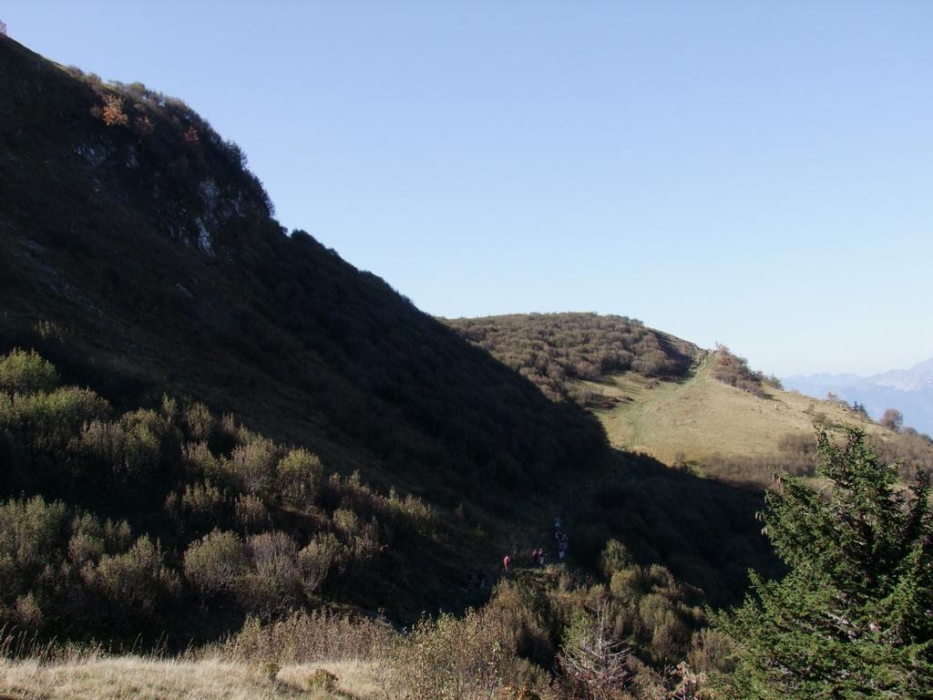 Pour l'image suivante