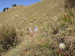 Pour agrandir l'image (1024x768 pixels; 236 KB)