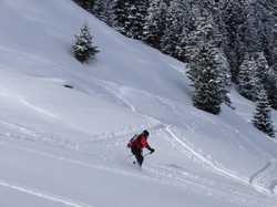 Pour agrandir l'image (1024x768 pixels; 119 KB)