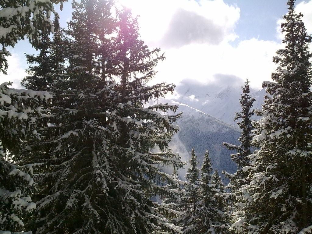 Pour l'image suivante