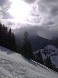 Pour agrandir l'image (576x768 pixels; 48 KB)