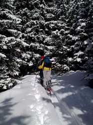 Pour agrandir l'image (576x768 pixels; 111 KB)