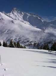 Pour agrandir l'image (576x768 pixels; 44 KB)