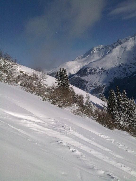 Pour l'image suivante