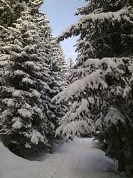 Pour agrandir l'image (576x768 pixels; 107 KB)