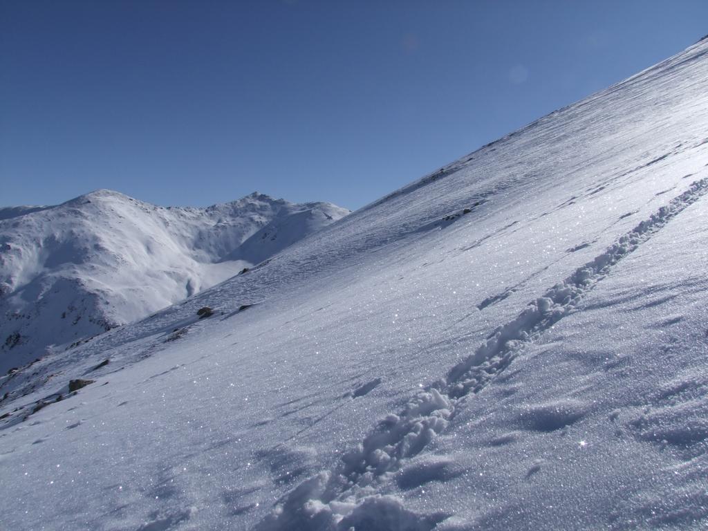 clic ici pour suivante