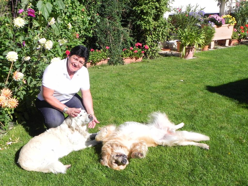 clic ici pour suivante