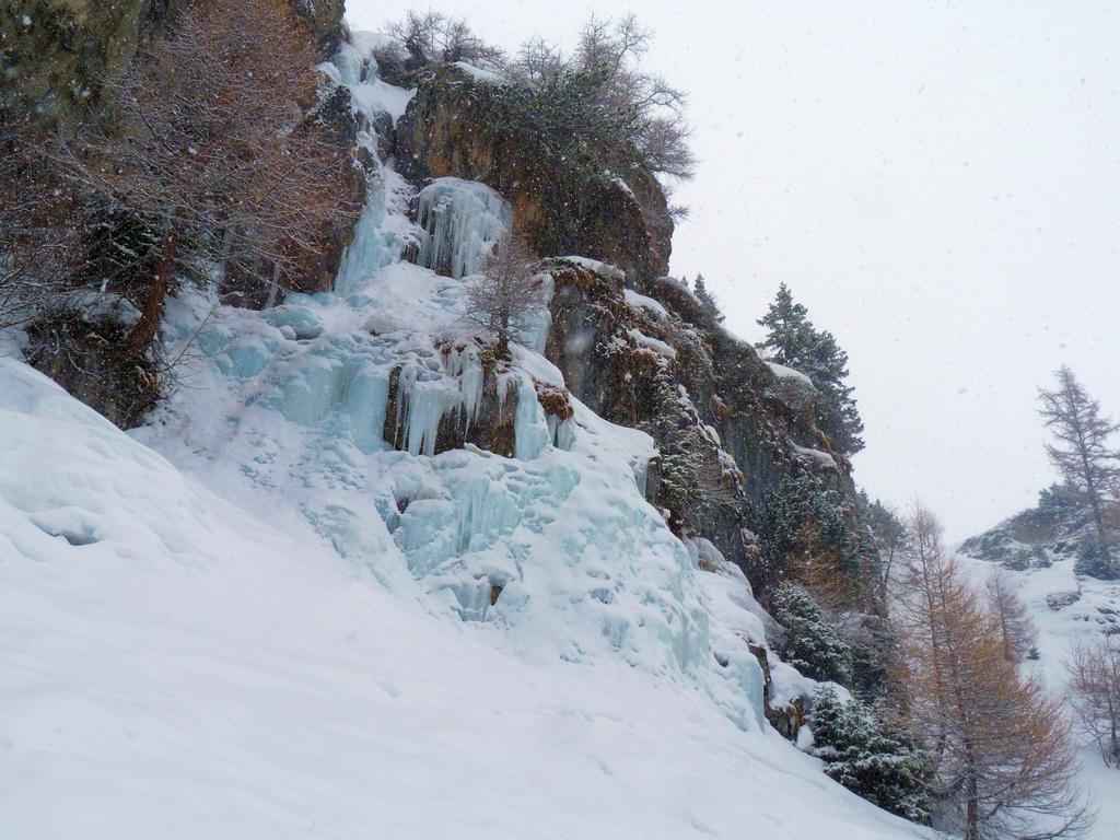 Cliqeu pour voir l'image suivante