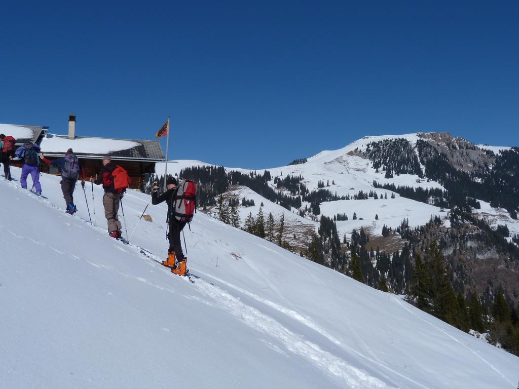 Cliqeu pour voir l'image suivante