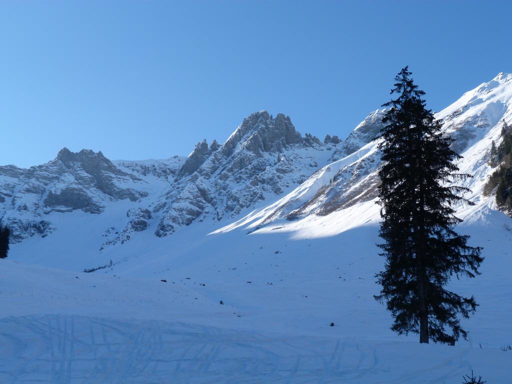 Cliqeu pour voir l'image suivante