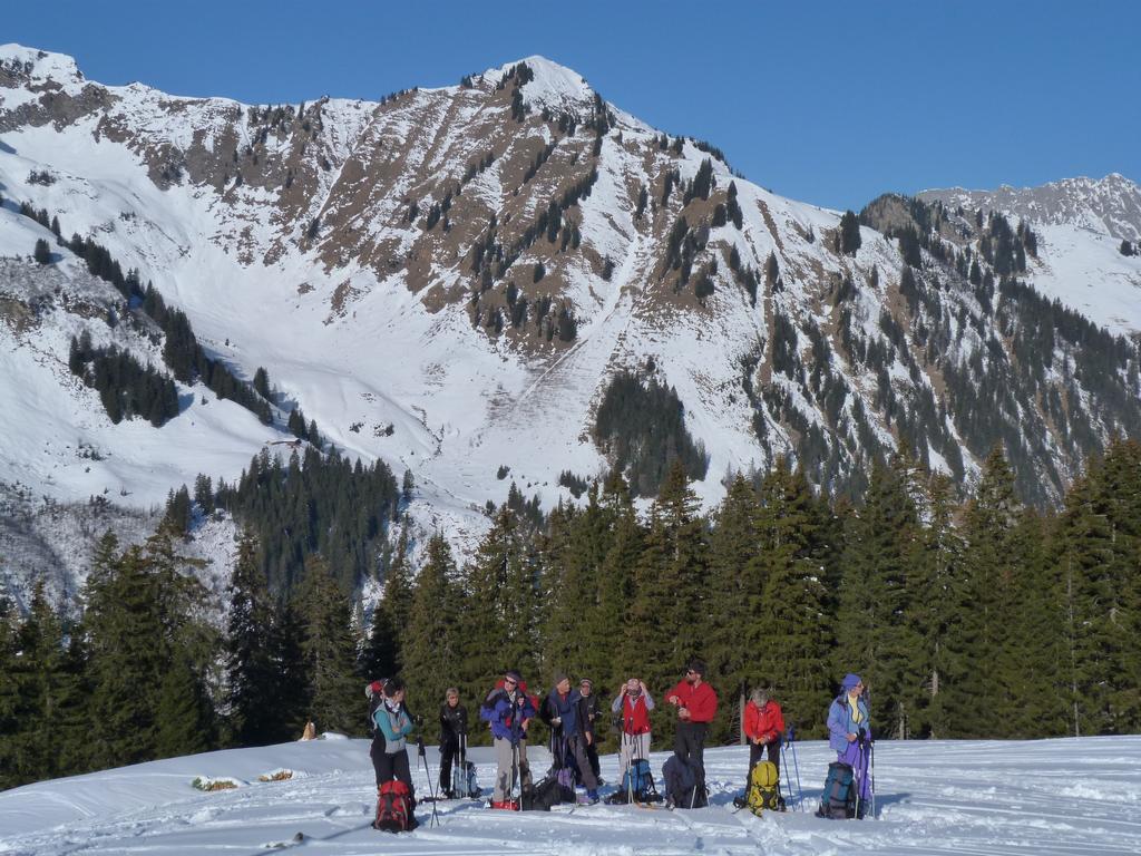 Cliqeu pour voir l'image suivante