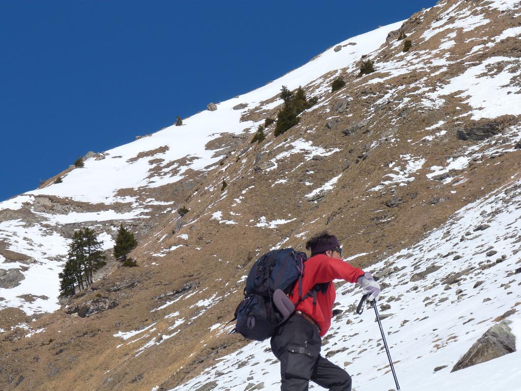 Cliqeu pour voir l'image suivante