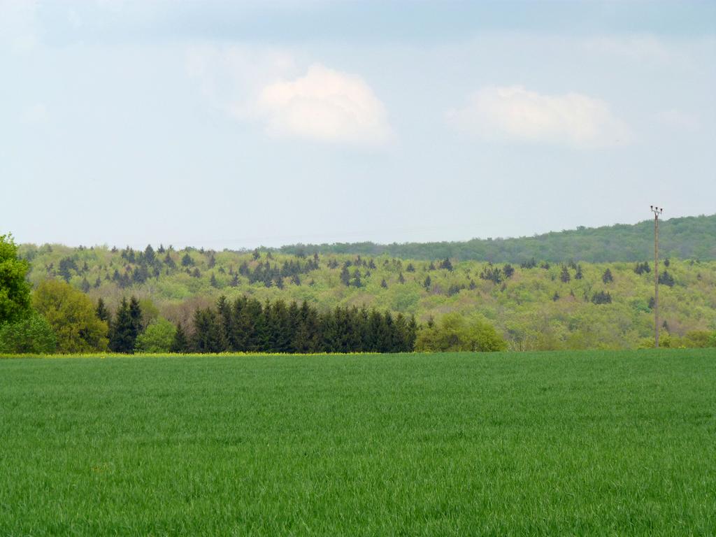 Cliqeu pour voir l'image suivante