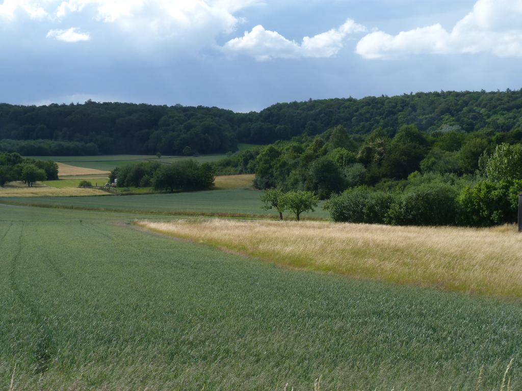 Cliqeu pour voir l'image suivante