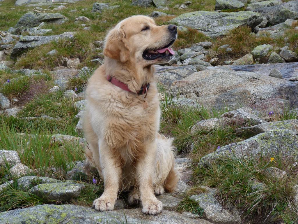 Clic pour l'image suivante