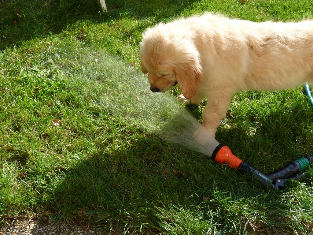 Clic pour l'image suivante