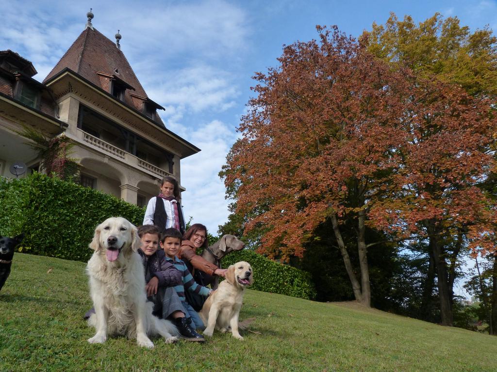 Clic pour l'image suivante