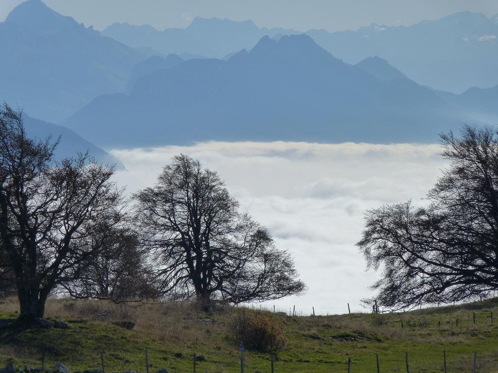 Clic pour l'image suivante