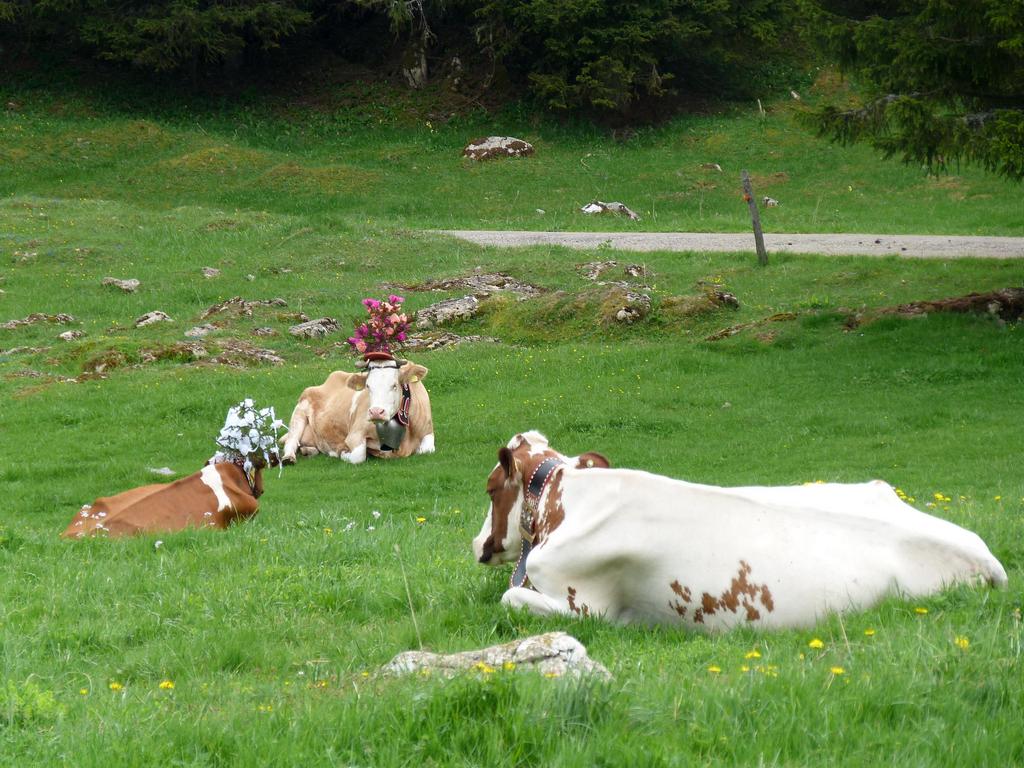 Clic pour l'image suivante