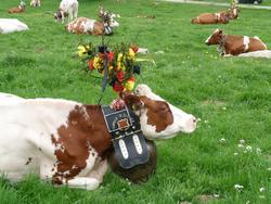 Clic pour agrandir l'image (1024x768 pixels; 174 KB)