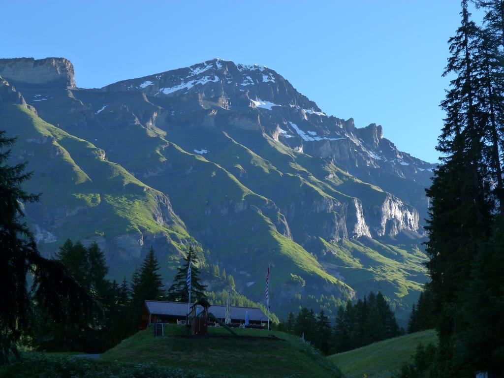 Click to see next picture