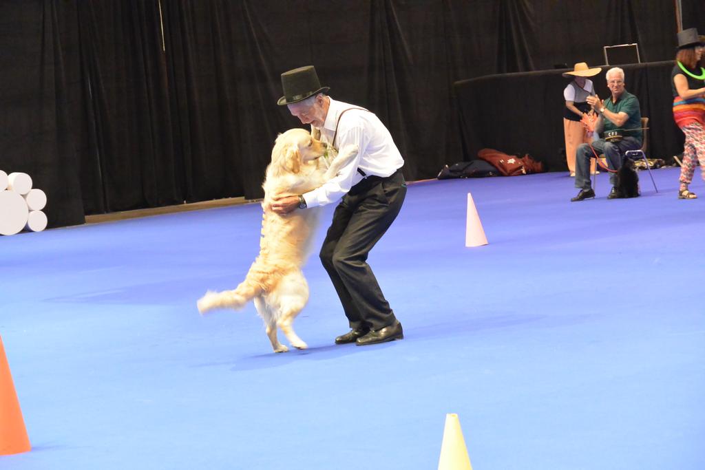 Clic pour l'image suivante