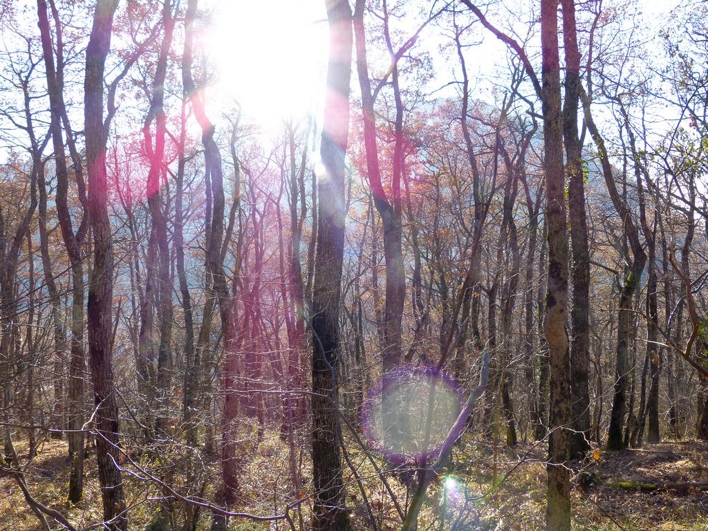 Clic pour l'image suivante