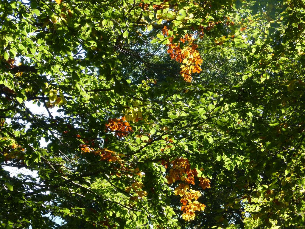 {Clic pour voir plus grand}