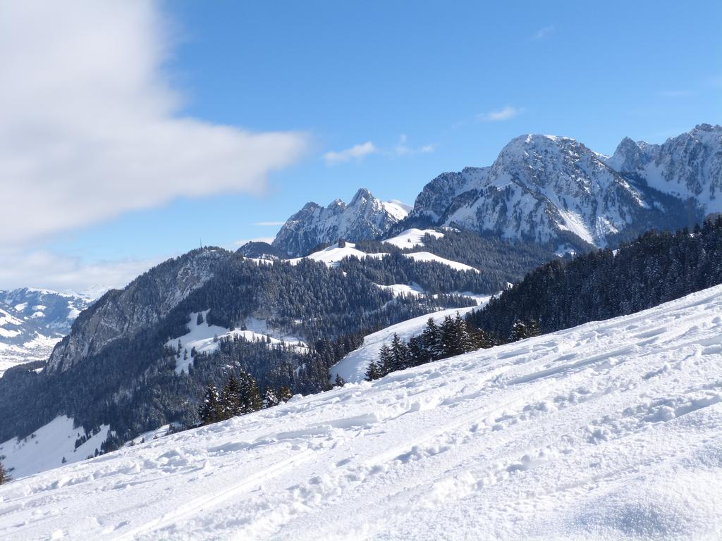 {Clic pour voir plus grand}