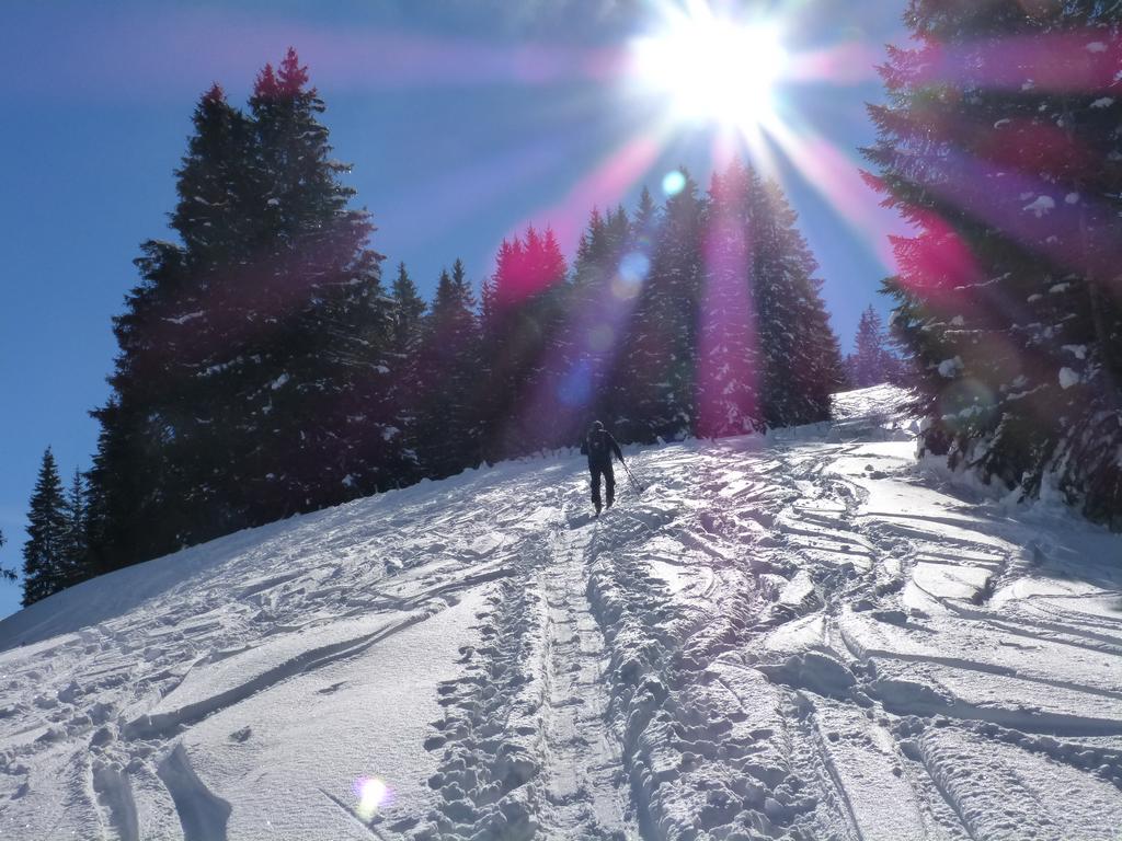 {Clic pour voir plus grand}