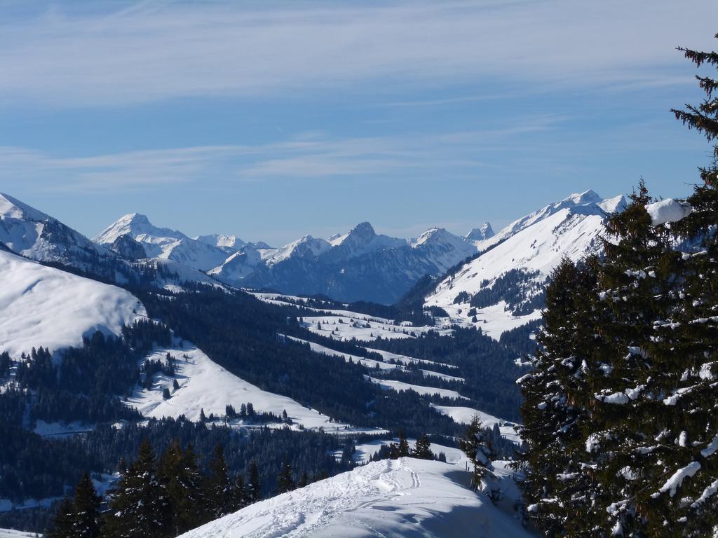 {Clic pour voir plus grand}