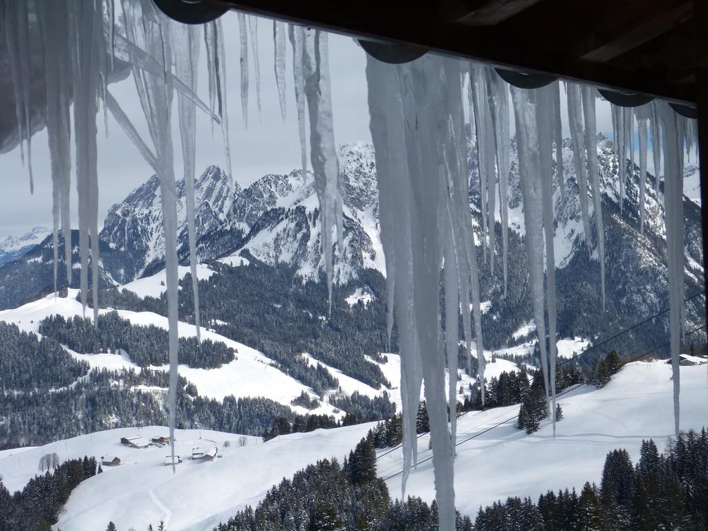 {Clic pour voir plus grand}