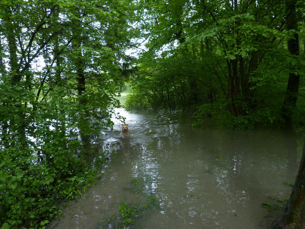 {Clic pour voir plus grand}