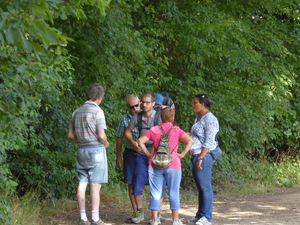 {Clic pour voir plus grand}